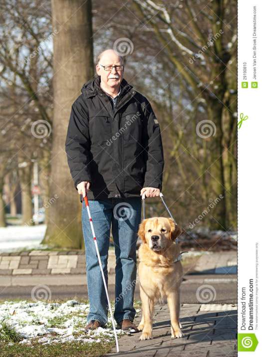 guide-dog-helping-blind-man-29190810.jpg